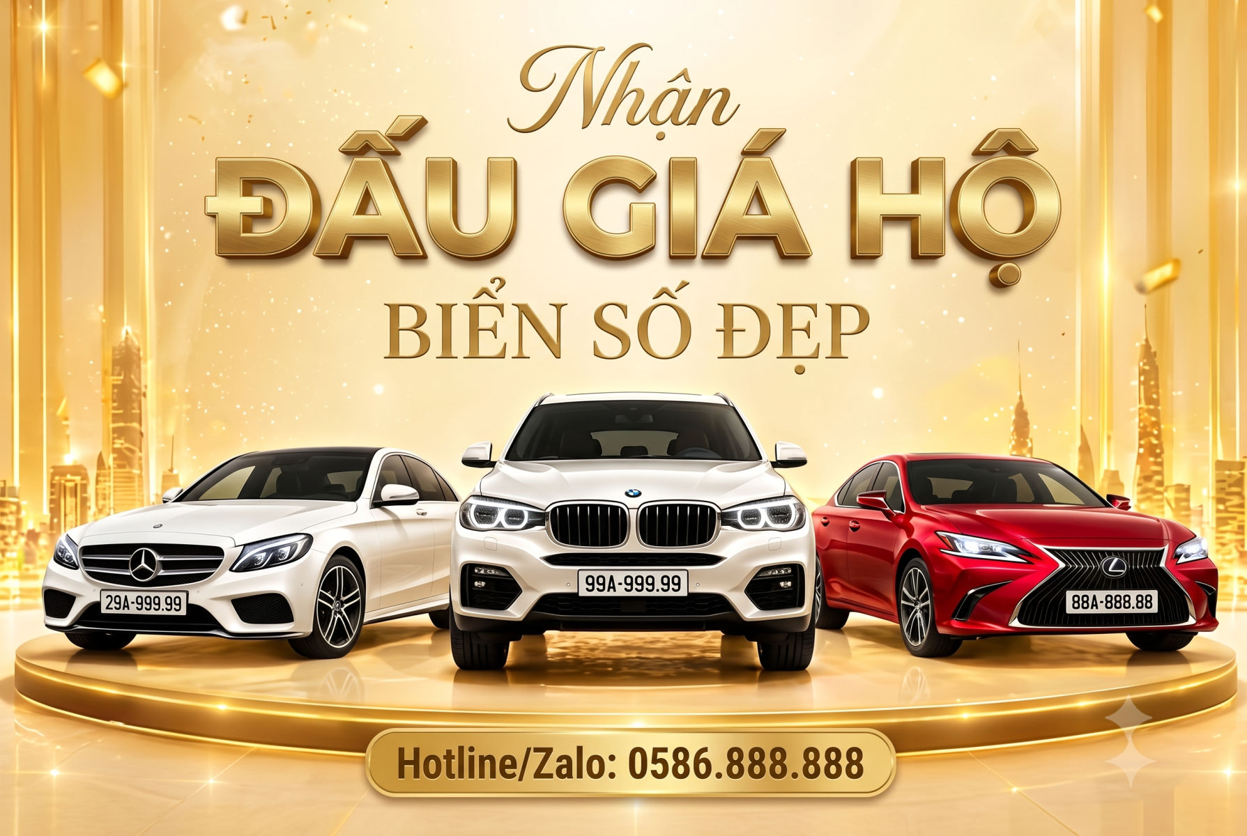 đấu giá hộ biển số đẹp
